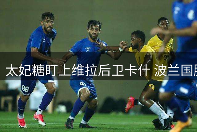 太妃糖盯上维拉后卫卡什 波兰国脚或成引援目标